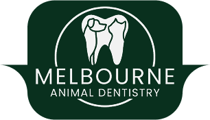 Melbourne Animal Dentistry